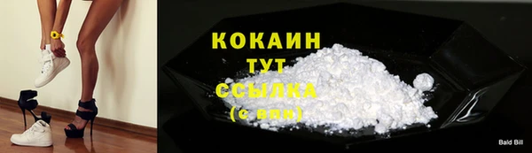 прущая мука Вяземский