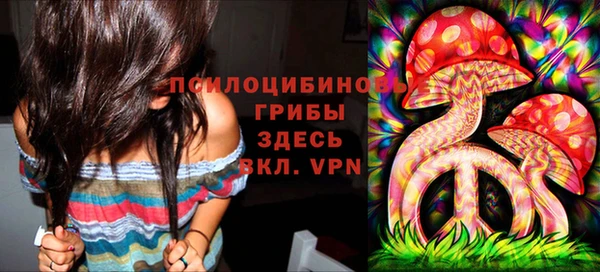 соль курить ск Горняк