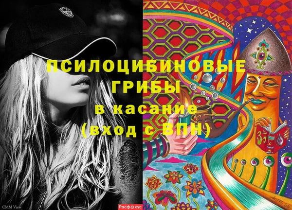 apvp Вязьма
