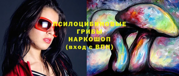 прущая мука Вяземский